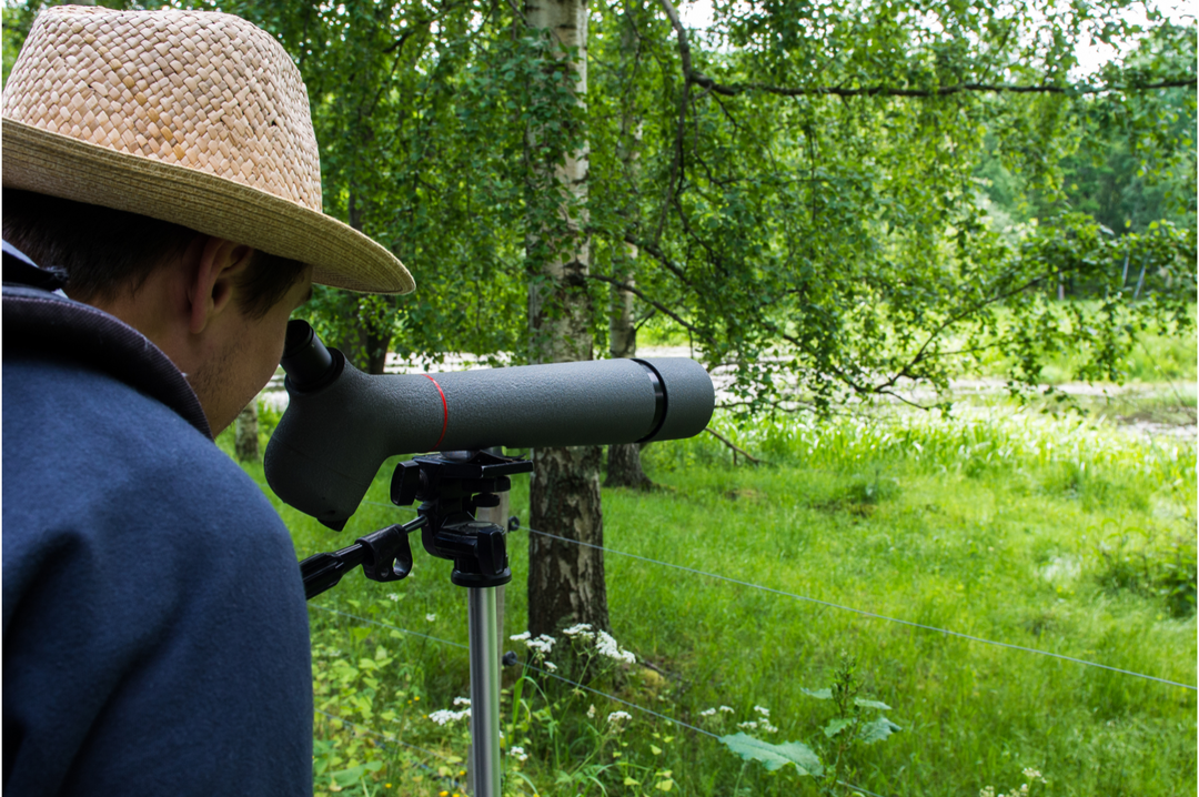 Best binoculars for bird watching